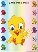 Group-identification-Little-chicks Group-identification-Little-chicks
