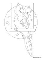 Birds - coloring