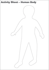 Activity sheet-human body
