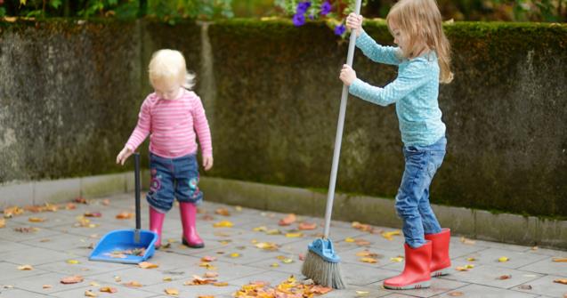 Cleaning your yard - Extra activities - Educatall
