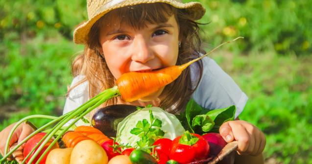 Let's harvest pictures of vegetables - Extra activities - Educatall