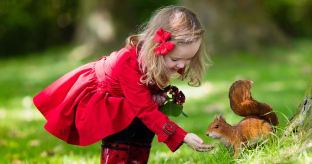 Squirrels - Babies and toddlers - Educatall