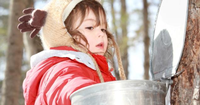 Sugar harvest time - Babies and toddlers - Educatall