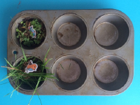 25 things you can do with muffin tins-6