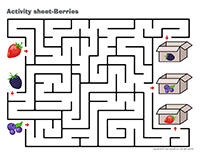 Activity sheets-Berries