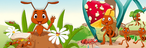 Ants