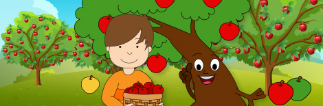Apple orchard