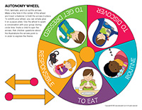 Autonomy wheel