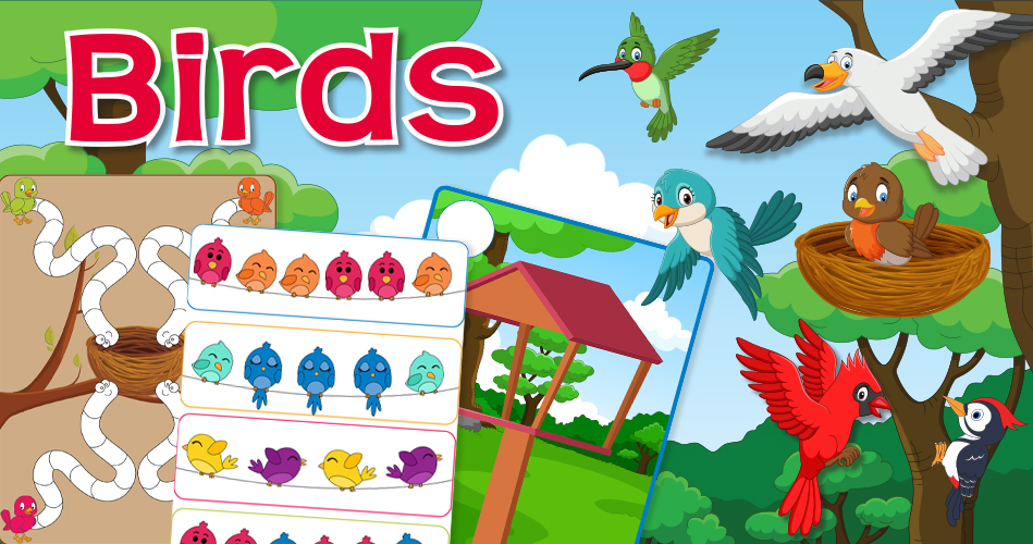 Birds - Theme and activities - Educatall