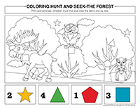 Coloring hunt and seek-Forest