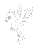 Coloring pages theme-Birds