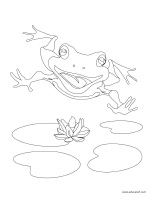 Coloring pages theme-Swamps