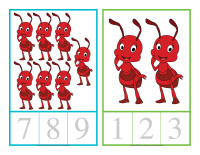 Counting cards-Ants-1