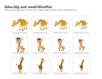 Educ-big and small-Giraffes