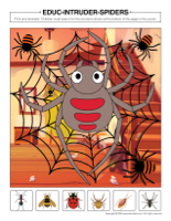 Educ-intruder-Spiders