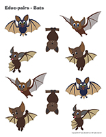 Educ-pairs-Bats