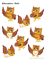 Educ-pairs-Owls