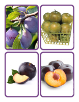 Educ-poster-Plums-2