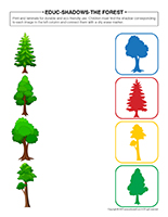 Educ-shadows-Forest