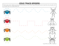 Educ-trace-Spiders