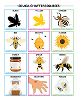 Educa-chatterbox-Bees