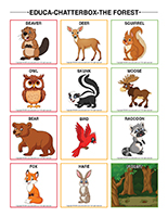 Educa-chatterbox-Forest
