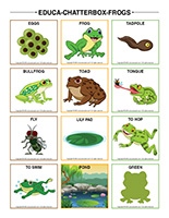 Educa-chatterbox-Frogs