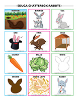 Educa-chatterbox-Rabbits