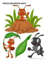 Educa-decorate-Ants-1