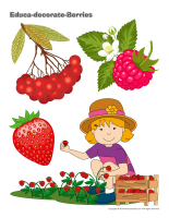 Educa-decorate-Berries-1