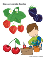 Educa-decorate-Berries-2