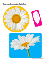 Educa-decorate-Daisies