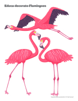 Educa-decorate-Flamingoes-1