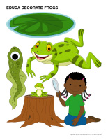 Educa-decorate-Frogs-1