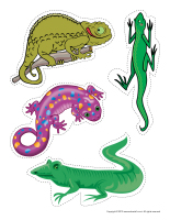 Educa-decorate-Reptiles-1