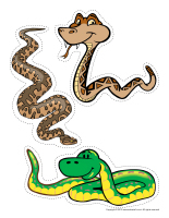 Educa-decorate-Reptiles-3