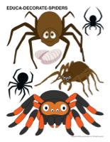 Educa-decorate-Spiders-1