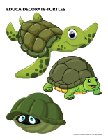 Educa-decorate-Turtles-1