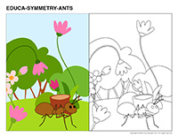 Educa-symmetry-Ants