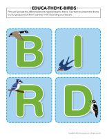 Educa-theme-Birds-1