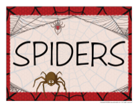 Educa-theme-Spiders