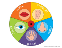 Game 5 senses wheel-1