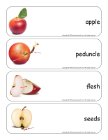 Giant word flashcards-Apples-1