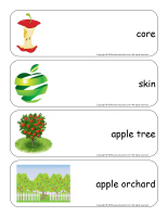 Giant word flashcards-Apples-2