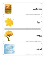 Giant word flashcards-Autumn-1