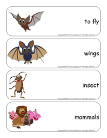 Giant word flashcards-Bats-2