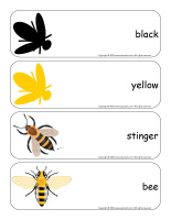 Giant word flashcards-Bees-1