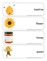 Giant word flashcards-Bees-2