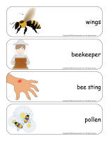 Giant word flashcards-Bees-3