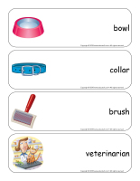 Giant word flashcards-Cats and kittens-3